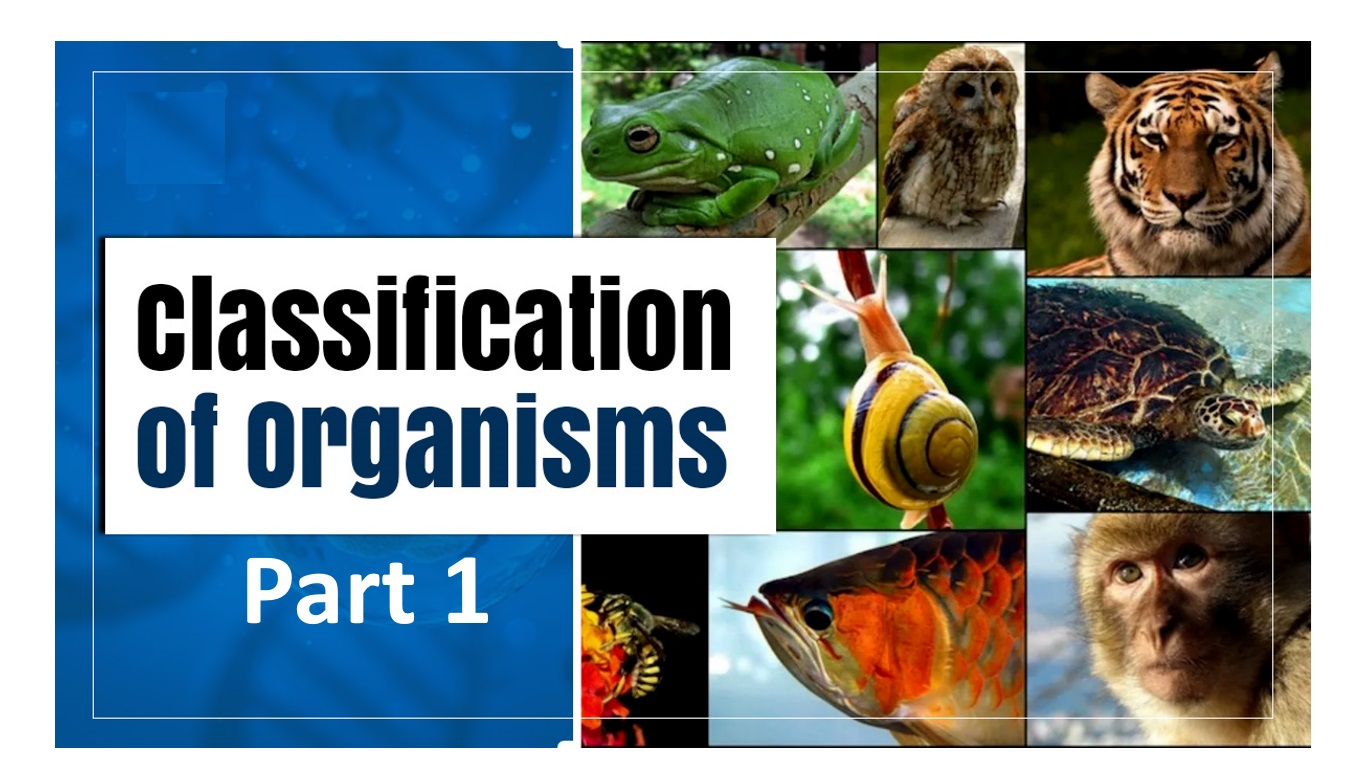 Classification - Part 1