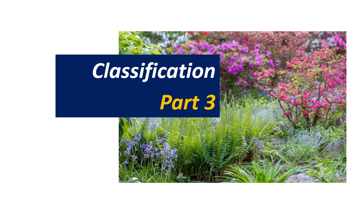 Classification - Part 3